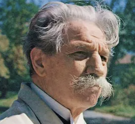 Profile picture for user Albert Schweitzer